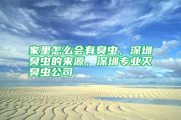 家里怎么會有臭蟲，深圳臭蟲的來源，深圳專業滅臭蟲公司