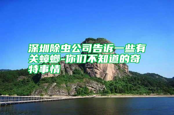 深圳除蟲公司告訴一些有關蟑螂-你們不知道的奇特事情