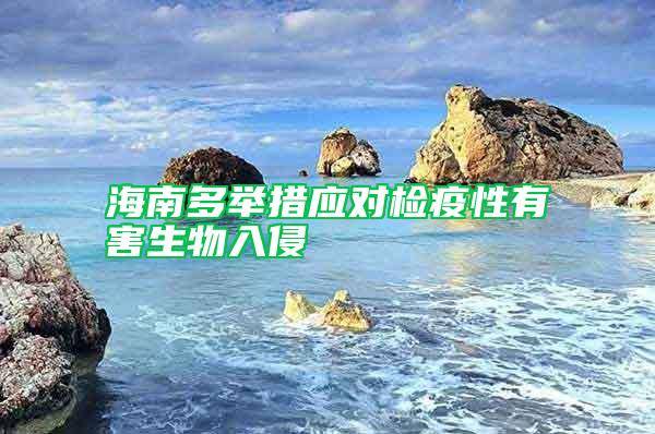 海南多舉措應對檢疫性有害生物入侵