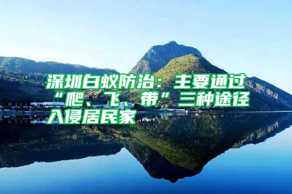 深圳白蟻防治：主要通過“爬、飛、帶”三種途徑入侵居民家