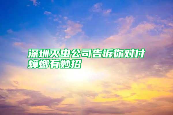 深圳滅蟲公司告訴你對付蟑螂有妙招