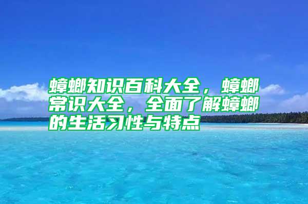 蟑螂知識百科大全，蟑螂常識大全，全面了解蟑螂的生活習性與特點