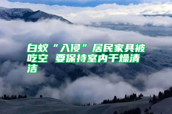 白蟻“入侵”居民家具被吃空 要保持室內干燥清潔