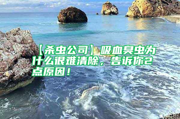 【殺蟲公司】吸血臭蟲為什么很難清除，告訴你2點原因！