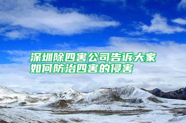 深圳除四害公司告訴大家如何防治四害的侵害