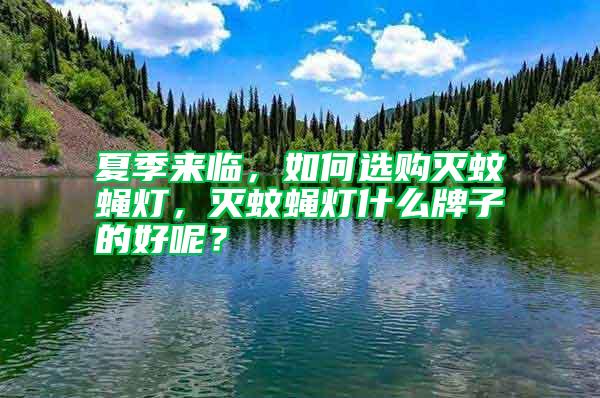 夏季來臨，如何選購滅蚊蠅燈，滅蚊蠅燈什么牌子的好呢？