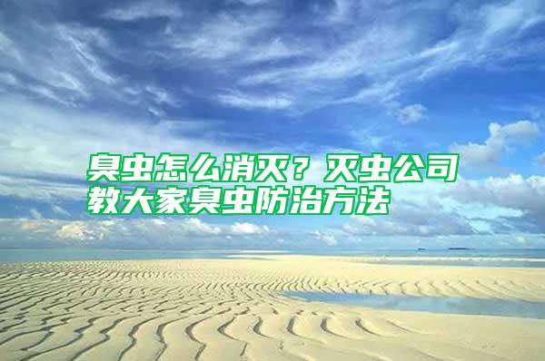 臭蟲(chóng)怎么消滅？滅蟲(chóng)公司教大家臭蟲(chóng)防治方法