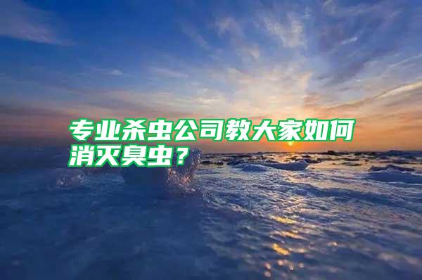 專業殺蟲公司教大家如何消滅臭蟲？