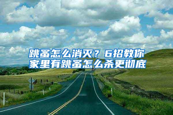 跳蚤怎么消滅？6招教你家里有跳蚤怎么殺更徹底