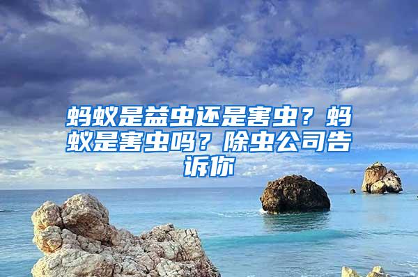 螞蟻是益蟲還是害蟲？螞蟻是害蟲嗎？除蟲公司告訴你