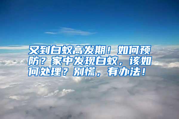 又到白蟻高發(fā)期！如何預(yù)防？家中發(fā)現(xiàn)白蟻，該如何處理？別慌，有辦法！