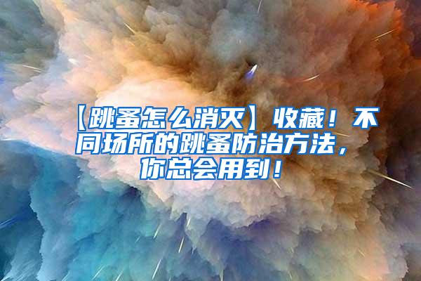 【跳蚤怎么消滅】收藏！不同場所的跳蚤防治方法，你總會用到！