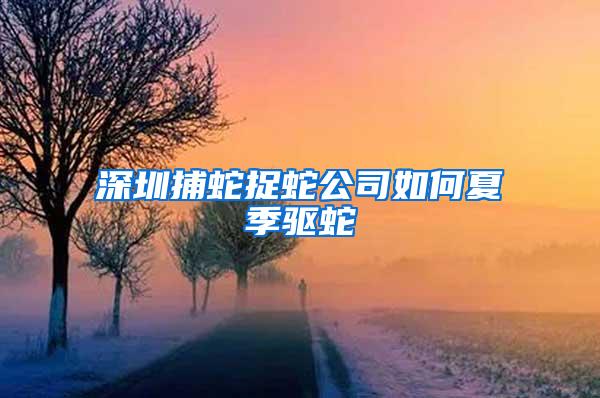 深圳捕蛇捉蛇公司如何夏季驅蛇