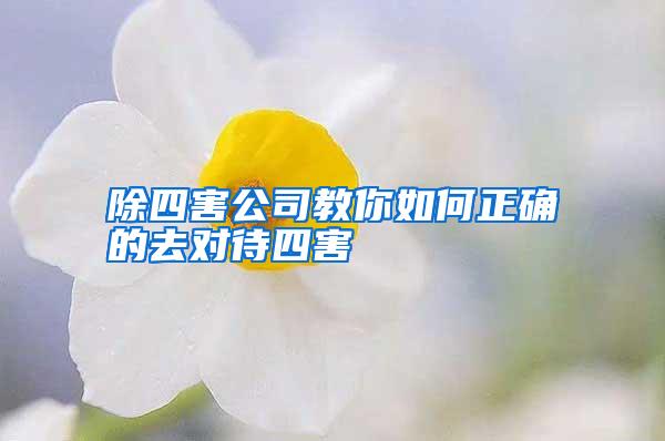 除四害公司教你如何正確的去對待四害