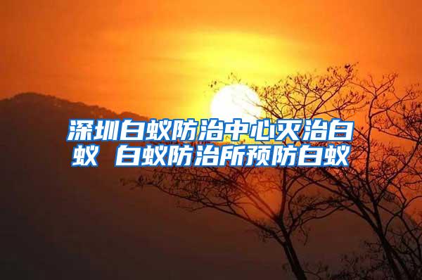 深圳白蟻防治中心滅治白蟻 白蟻防治所預防白蟻