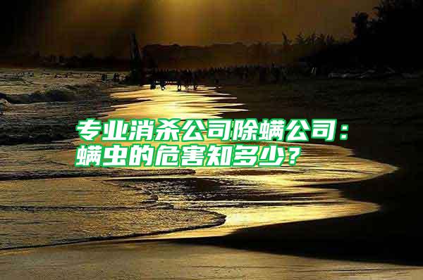 專業消殺公司除螨公司：螨蟲的危害知多少？