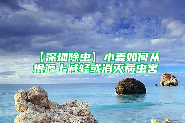 【深圳除蟲】小麥如何從根源上減輕或消滅病蟲害