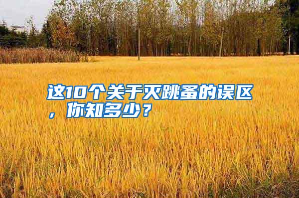 這10個關于滅跳蚤的誤區，你知多少？