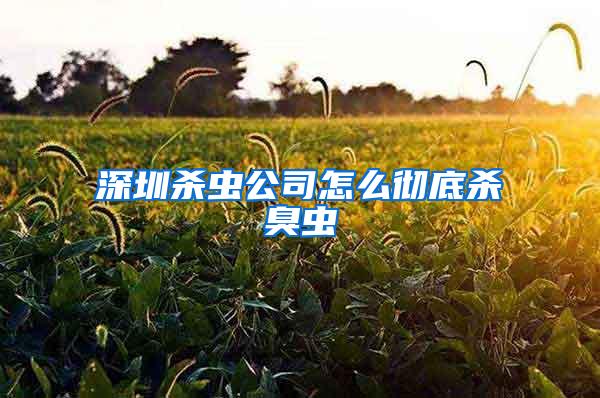 深圳殺蟲公司怎么徹底殺臭蟲