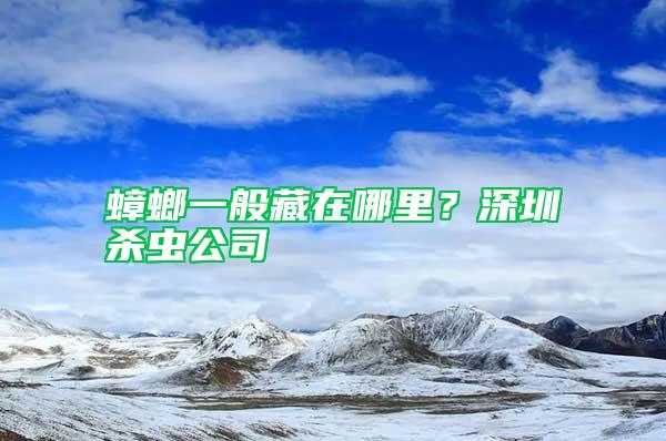 蟑螂一般藏在哪里？深圳殺蟲公司