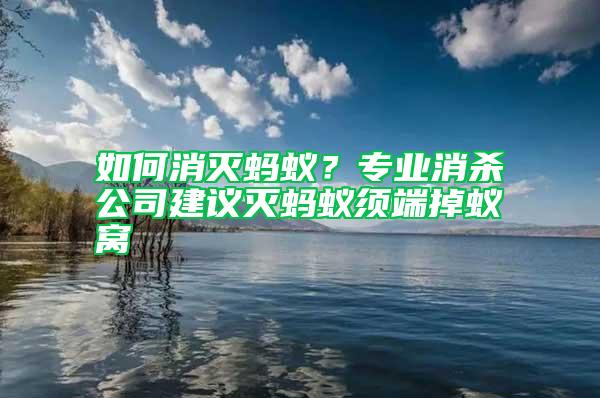 如何消滅螞蟻？專業(yè)消殺公司建議滅螞蟻須端掉蟻窩