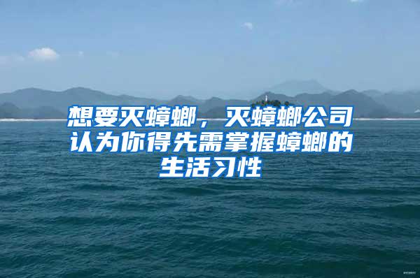 想要滅蟑螂，滅蟑螂公司認(rèn)為你得先需掌握蟑螂的生活習(xí)性