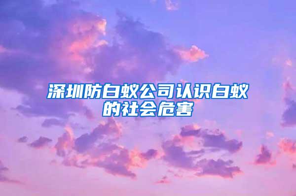 深圳防白蟻公司認識白蟻的社會危害