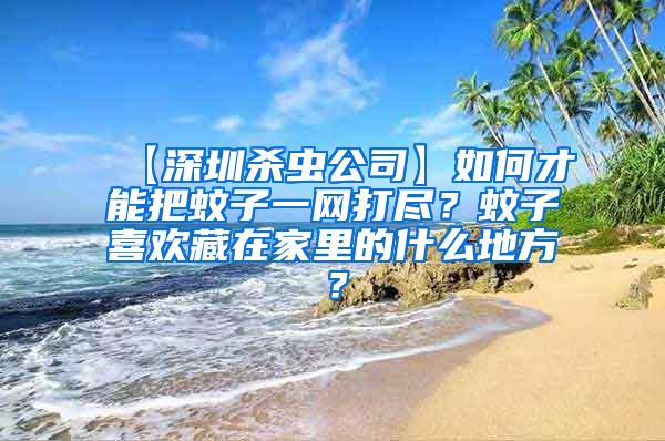 【深圳殺蟲公司】如何才能把蚊子一網打盡？蚊子喜歡藏在家里的什么地方？