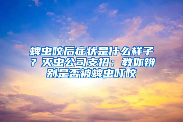 蜱蟲咬后癥狀是什么樣子？滅蟲公司支招：教你辨別是否被蜱蟲叮咬