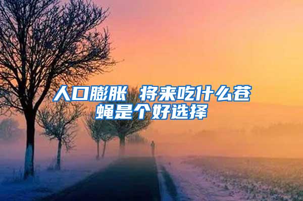 人口膨脹 將來(lái)吃什么蒼蠅是個(gè)好選擇