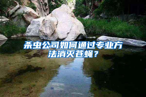 殺蟲公司如何通過專業方法消滅蒼蠅？