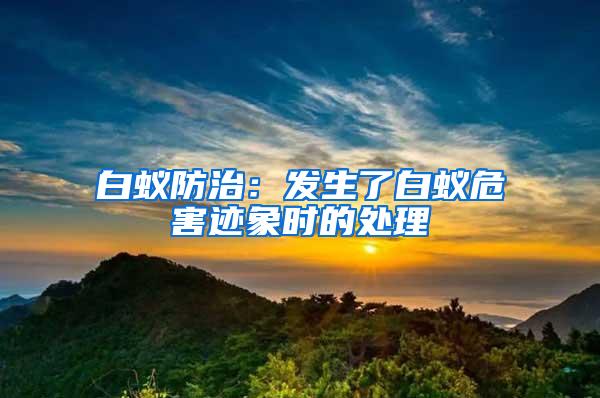 白蟻防治：發生了白蟻危害跡象時的處理