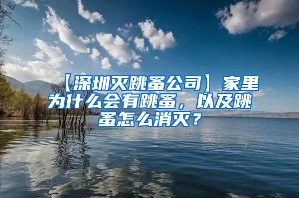 【深圳滅跳蚤公司】家里為什么會有跳蚤，以及跳蚤怎么消滅？