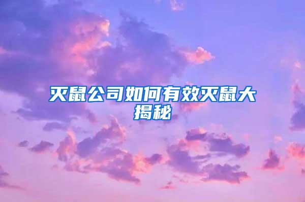 滅鼠公司如何有效滅鼠大揭秘