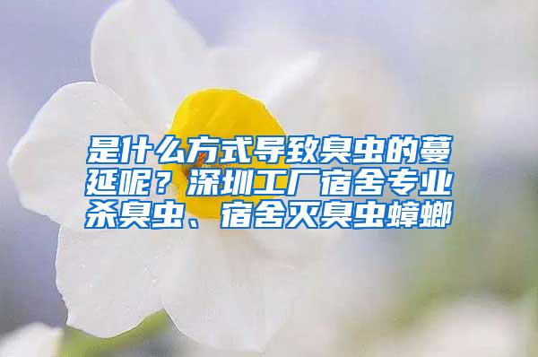 是什么方式導致臭蟲的蔓延呢？深圳工廠宿舍專業(yè)殺臭蟲、宿舍滅臭蟲蟑螂