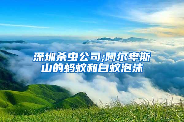 深圳殺蟲公司;阿爾卑斯山的螞蟻和白蟻泡沫