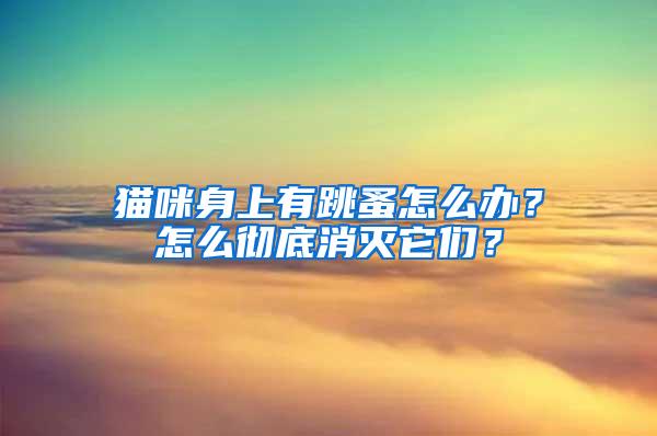 貓咪身上有跳蚤怎么辦？怎么徹底消滅它們？