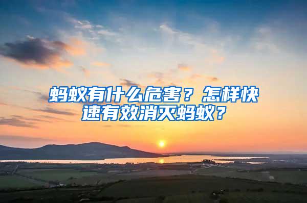 螞蟻有什么危害？怎樣快速有效消滅螞蟻？