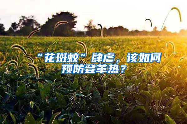 “花斑蚊”肆虐，該如何預(yù)防登革熱？