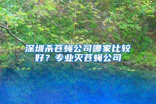 深圳殺蒼蠅公司哪家比較好？專業滅蒼蠅公司