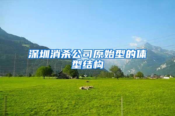 深圳消殺公司原始型的體型結構