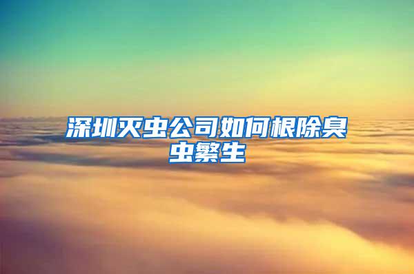 深圳滅蟲公司如何根除臭蟲繁生