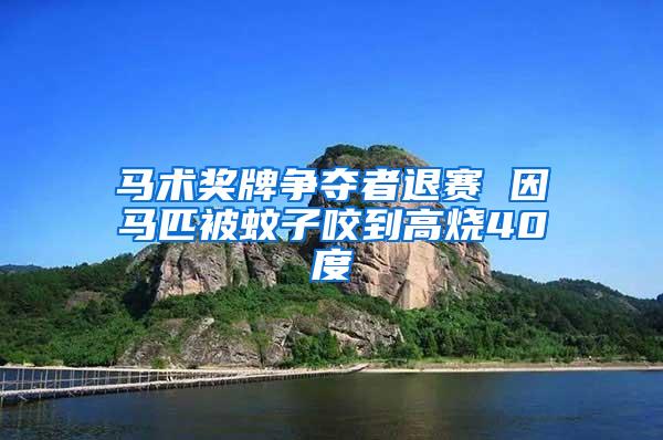 馬術獎牌爭奪者退賽 因馬匹被蚊子咬到高燒40度