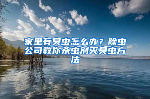 家里有臭蟲怎么辦？除蟲公司教你殺蟲劑滅臭蟲方法