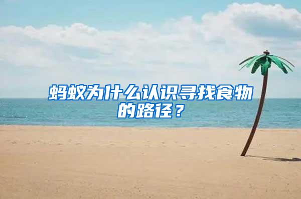 螞蟻為什么認識尋找食物的路徑？