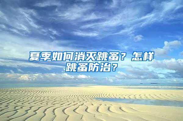 夏季如何消滅跳蚤？怎樣跳蚤防治？