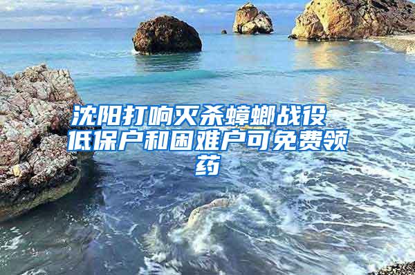 沈陽打響滅殺蟑螂戰(zhàn)役 低保戶和困難戶可免費領(lǐng)藥