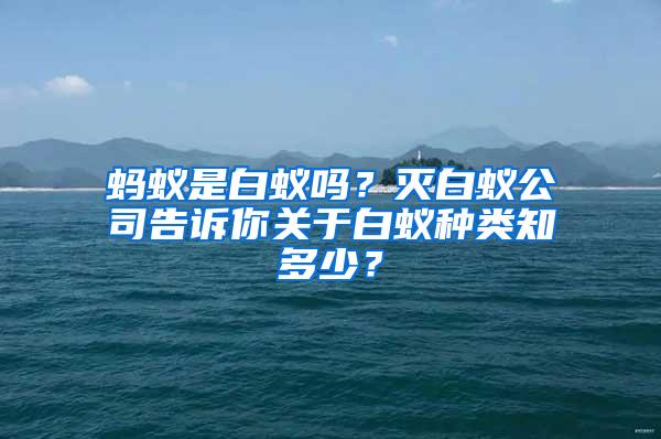 螞蟻是白蟻嗎？滅白蟻公司告訴你關(guān)于白蟻種類知多少？