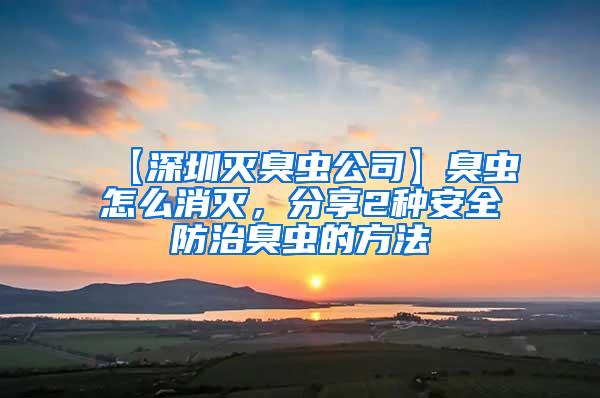 【深圳滅臭蟲公司】臭蟲怎么消滅，分享2種安全防治臭蟲的方法