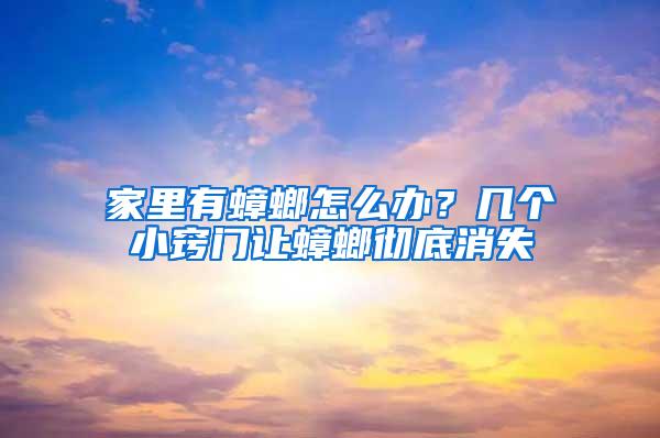 家里有蟑螂怎么辦？幾個小竅門讓蟑螂徹底消失